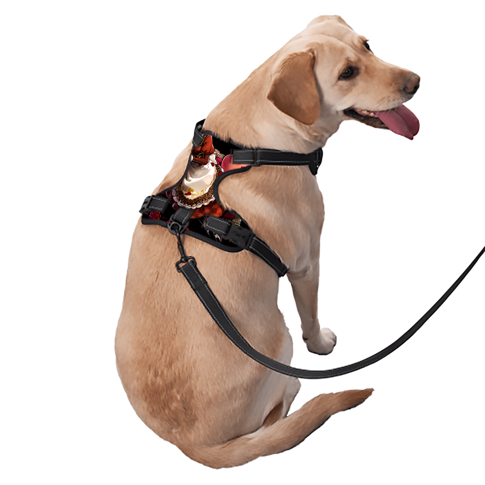 （画像用） 進撃の巨人 アニ・レオンハート Attack on Titan Annie Leonhart ペット用ハーネス